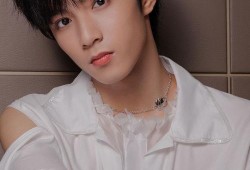 刘耀文家人爆料视频播放,揭秘背后真相